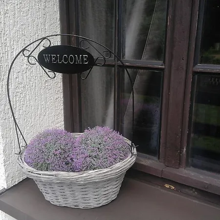 Ferienhaus Walpusz *